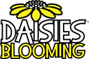 Daises Blooming