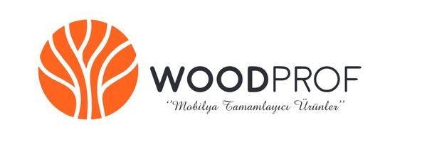 Woodprof Duvar Lambirisi