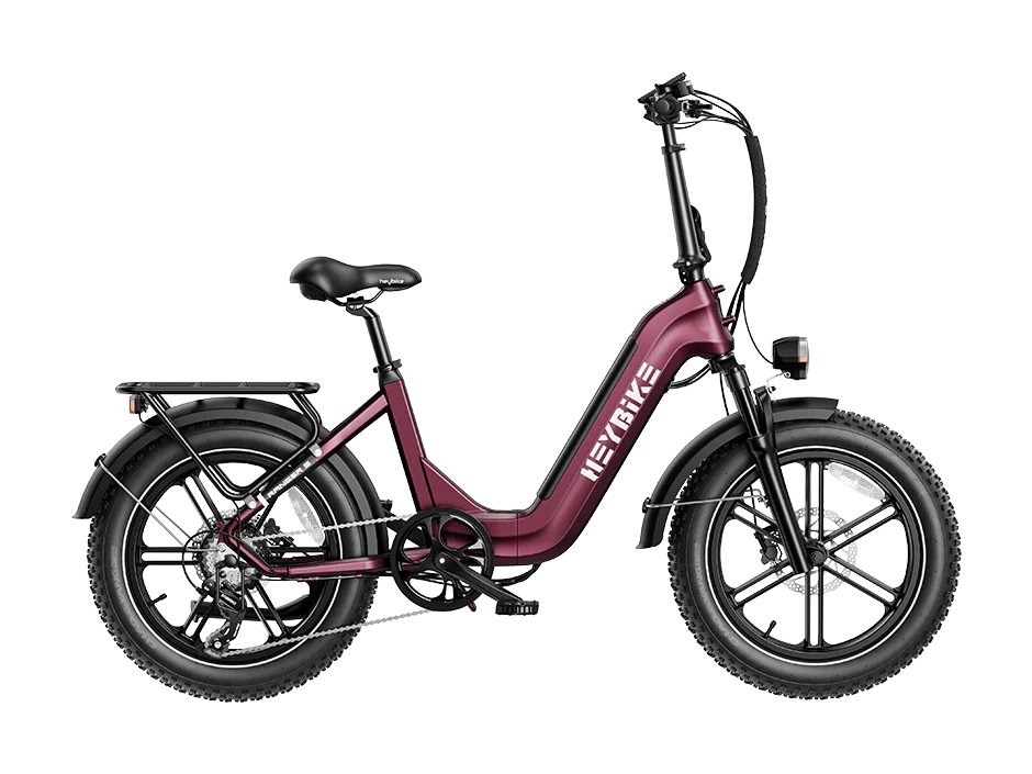 e bike salem county nj