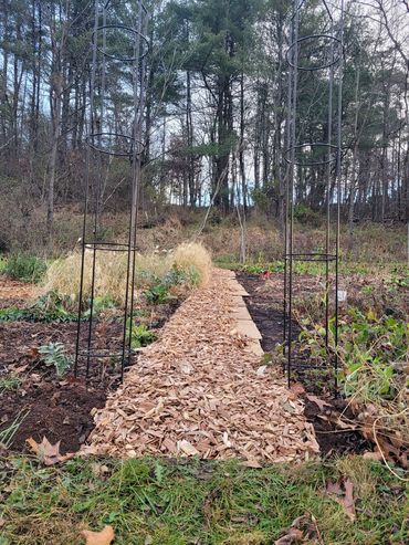 Trellis woodchip path