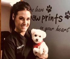 Professional Dog Groomer