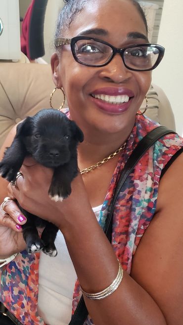 Woman holding black mini schnauzer puppy