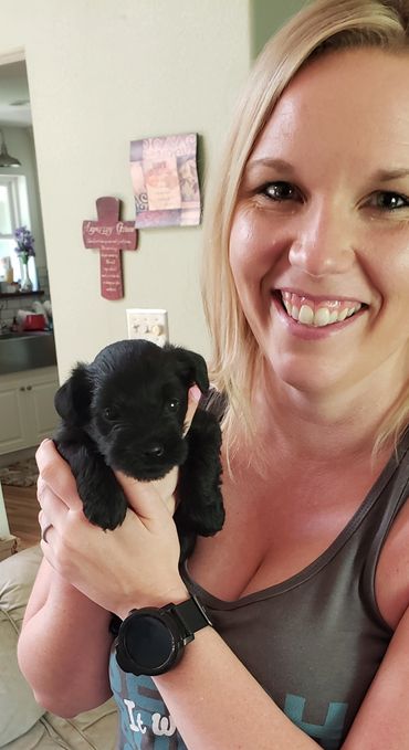 Woman with black miniature schnauzer puppy