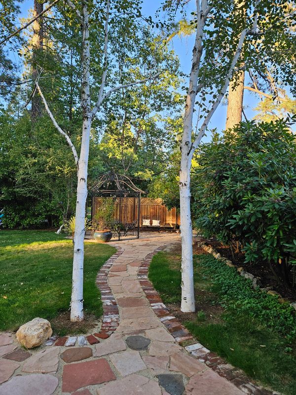 A winding stone pathway flanked by white birch trees leads to a cozy garden gazebo.