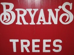 bryan's trees & pumpkins llc