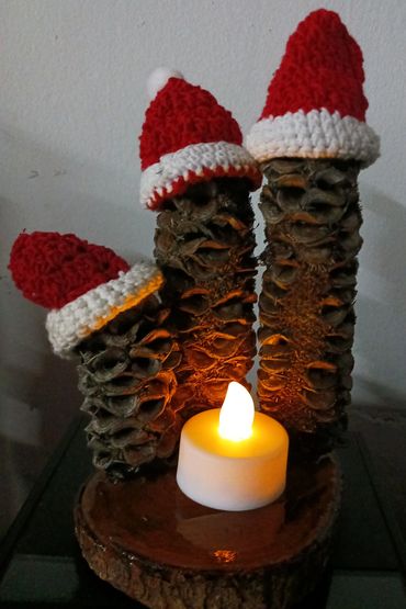 bevscraft.com.au three wise men decoration Australian native see pods candle light