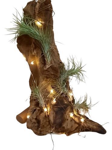bevscraft.com.au timber air plant table decoration with   lights