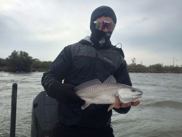 cold redfish