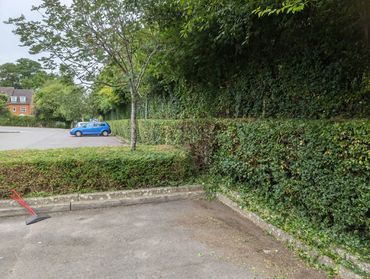 Commercial Maintenance Contracts