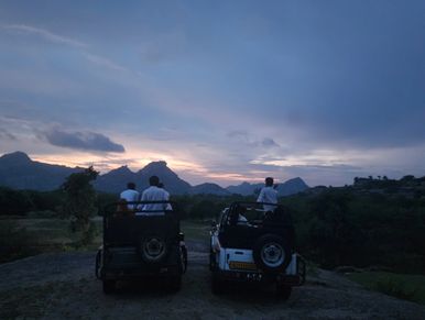 This image shows guests enjoying a sunset jeep safari in Jawai, Rajasthan – one of the most memorable highlights of a stay at Jawai Leopard Den Resort. Surrounded by the rugged Aravalli Hills, this open-jeep tour offers travellers a rare chance for wildlife viewing in Jawai, including sightings of the famous leopards, migratory birds, and even crocodiles near the Jawai Bandh. Our curated activities include bird watching in Jawai, cultural tourism in nearby villages, guided nature walks in Rajasthan, and thrilling Jawai night safaris, all designed to showcase the region’s authentic beauty. After your adventure, relax in our premium Swiss tents or cottages – the best Jawai safari resort for weekend getaways and holiday packages. Book your Jawai safari and luxurious stay now to experience a perfect blend of adventure, culture, and comfort.