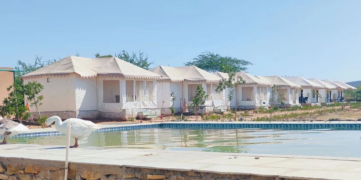 Relax by the swimming pool at Jawai Leopard Den Resort, where the tranquil waters reflect the stunning backdrop of the Aravalli Hills. From here, you can enjoy mesmerizing views of our Luxury Swiss Tents, blending seamlessly with nature. The peaceful setting is enhanced by the sounds of birds from nearby Jawai Bandh, making it the perfect spot to unwind after a thrilling Jawai Leopard Safari.