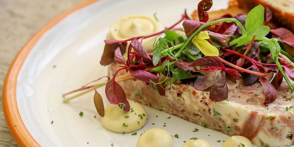 Elegant dish featuring a slice of terrine with microgreens and dollops of creamy sauce on a white plate.