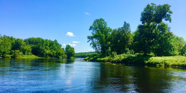 A calm river flows through lush green trees under a clear blue sky.
