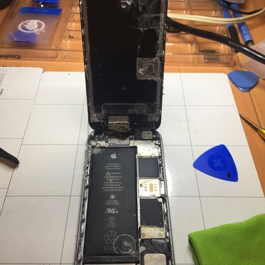 heavily water damaged iPhone