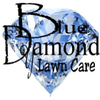 Blue Dyamond Lawn care LLC