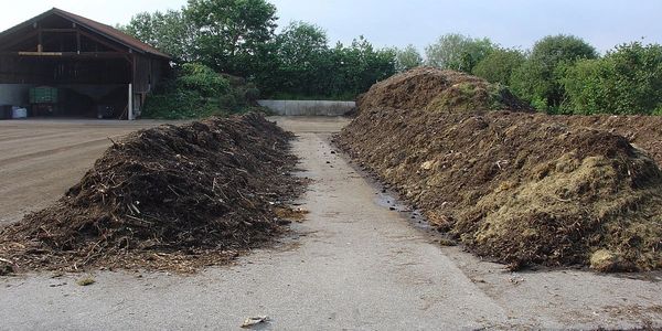 Horse manure bulk substrate for mushroom grow kits uk