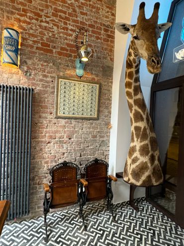 Інтер'єр Plan B, barbershop & academy