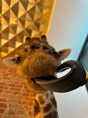 Інтер'єр Plan B, barbershop & academy