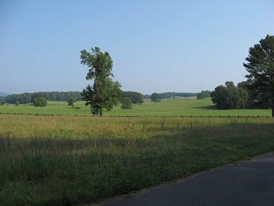 Rasaca Battlefield, where Michael & Charles F. Wallick both fought