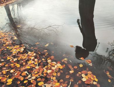 Reflection in Autumn Pond