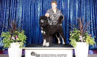 national international ukc champion River