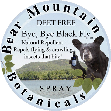 Black Bear and Mountain