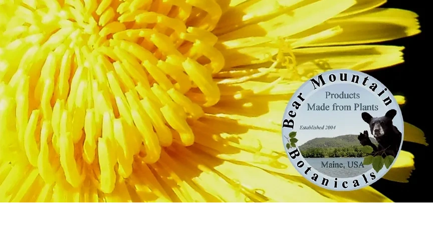 Bear Mountain Botanical's Logo and Dandelion Flower