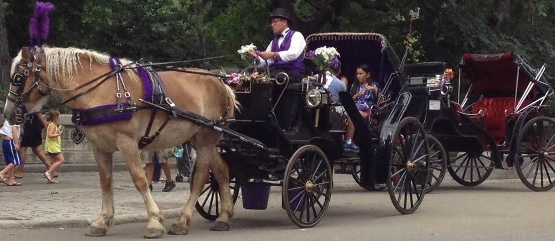 central park carriage ride groupon