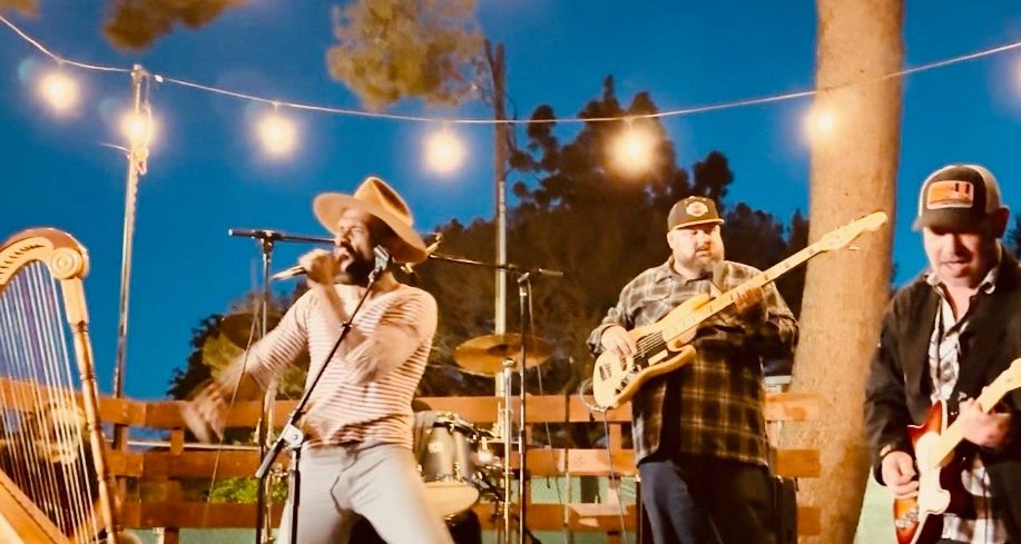 A lively outdoor band performing at night under string lights.