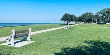 Mandeville Lakefront Photo