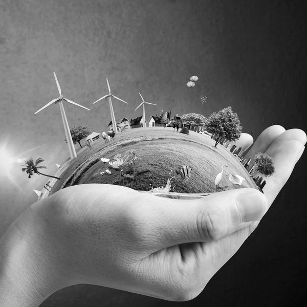 Hands holding a miniature world with wind turbines and nature.