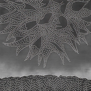 Sweet Gum Ball Falling to Earth - Photo: Barry G. Richards