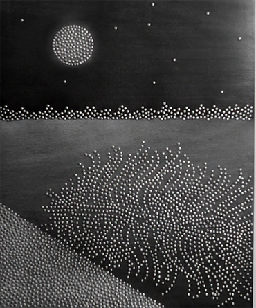 Transformed Pinecone with Full Moon- Photo: Barry G. Richards