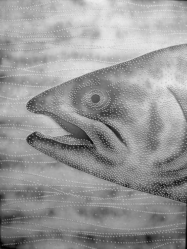 Salmon head - photo: Barry G. Richards