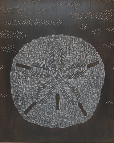 Sand Dollar by Joh Acorn