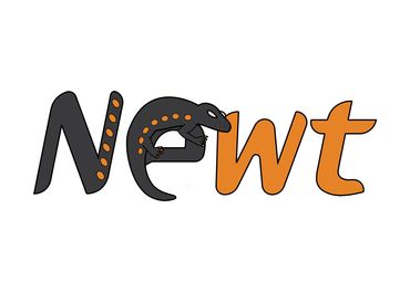 typographic logo for Newt