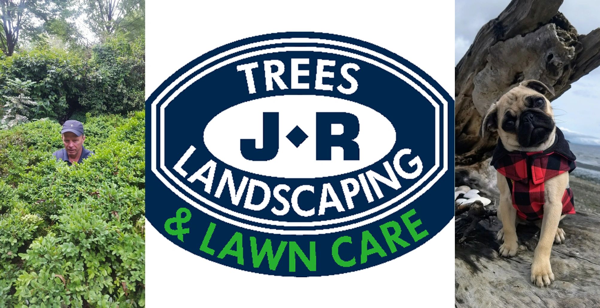 JR Tree Service, Landscaping & Lawn care