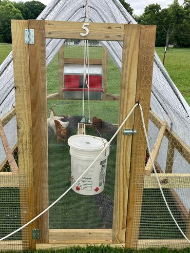Chicken tractor for pastured laying hens.