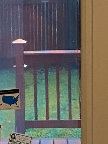 Sliding glass door leading to a backyard deck with a hanging ceiling lamp.