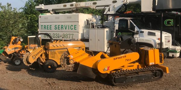 Stump grinding and stump removal service