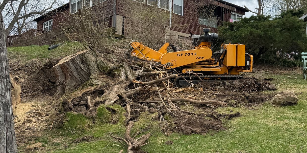 Expert stump grinding services in Irondequoit NY – large hillside stump removed with tracked stump g