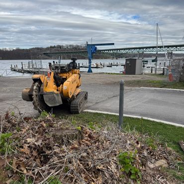 Grinding a stump in Irondaqouit with a great view of the Bay bridge in the background. Before.
