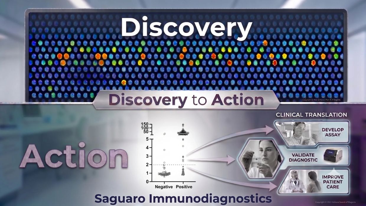 Infographic on discovery to action in immunodiagnostics.