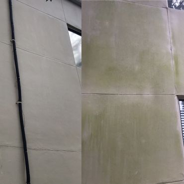 exterior building cleaning and mold removal of commercial building