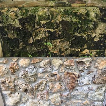 House wash and stone cleaning