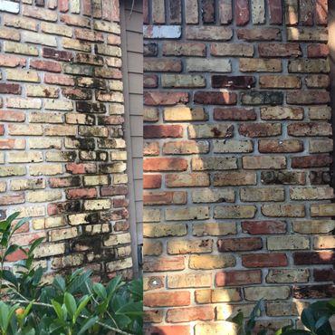 Pressure washing, soft washing, exterior cleaning and house washing in Sanford and Lake Mary Florida