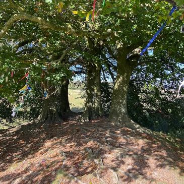 The Wishing tree Avebury