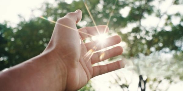 Hand reaching towards sunlight through trees in a serene outdoor setting.