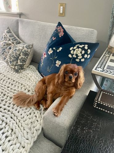 Joanne and her dog Lucy