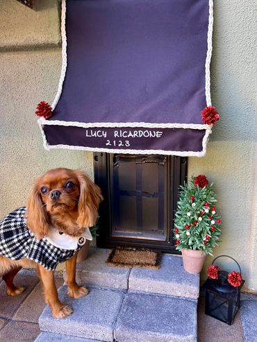 Joanne and her dog Lucy